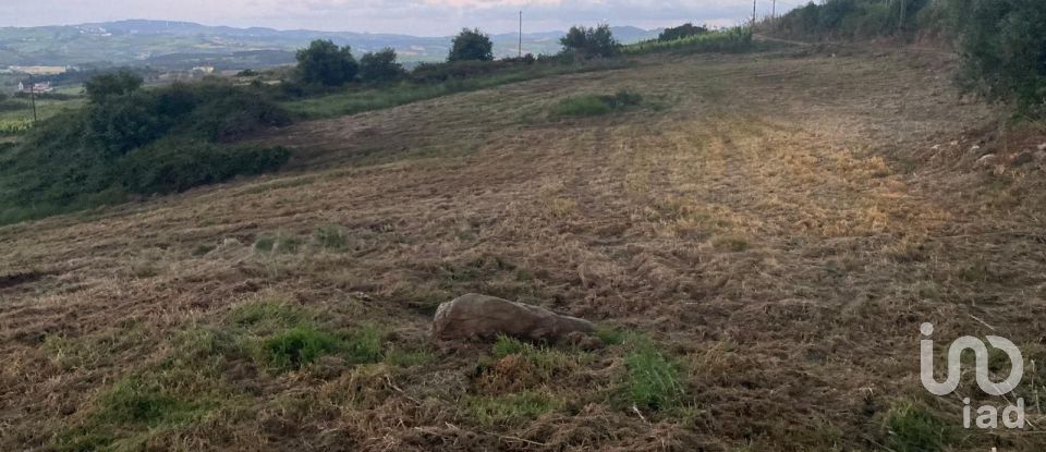 Terreno em Carvoeira e Carmões de 12 064 m²