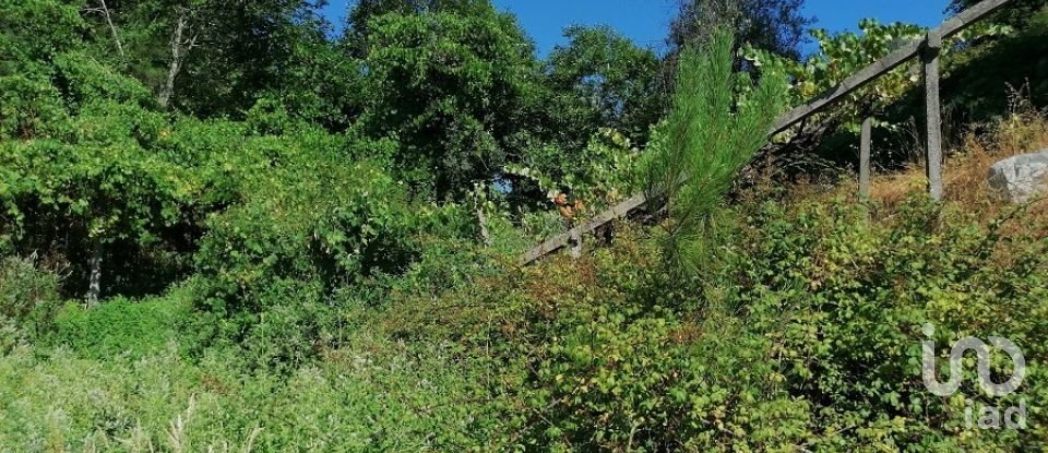 Terreno para construção em Pedrógão Grande de 1 807 m²