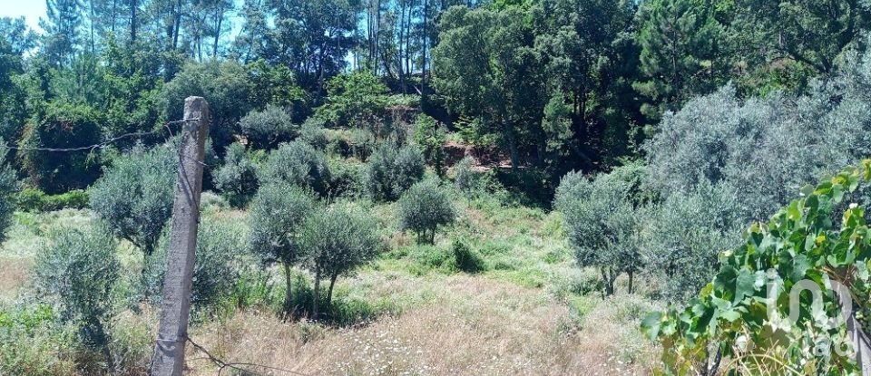 Terreno para construção em Pedrógão Grande de 1 807 m²