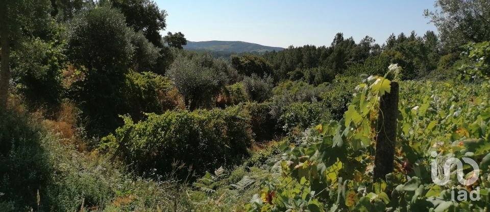 Terreno para construção em Pedrógão Grande de 1 807 m²