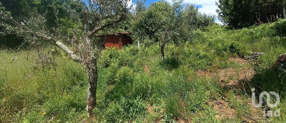 Terreno para construção em Pedrógão Grande de 1 807 m²