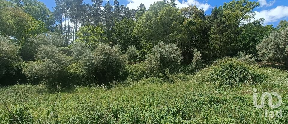 Terreno para construção em Pedrógão Grande de 4 855 m²