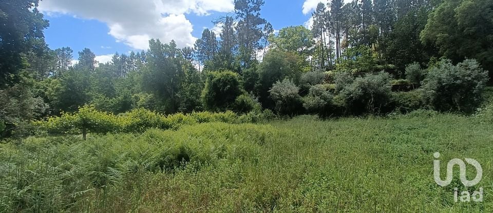 Terreno para construção em Pedrógão Grande de 4 855 m²