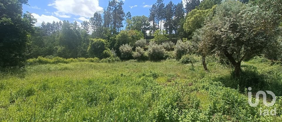 Terreno para construção em Pedrógão Grande de 4 855 m²