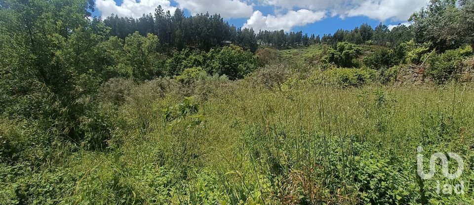 Terreno para construção em Pedrógão Grande de 4 855 m²