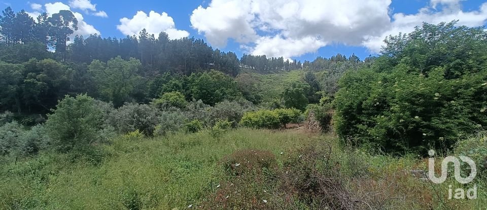 Terreno para construção em Pedrógão Grande de 4 855 m²