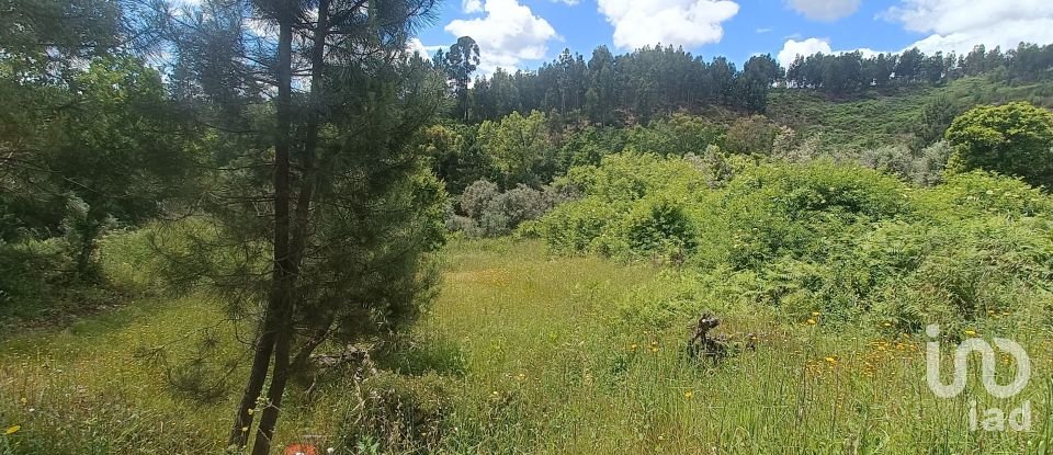 Terreno para construção em Pedrógão Grande de 2 400 m²