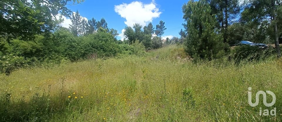 Building land in Pedrógão Grande of 2,400 m²