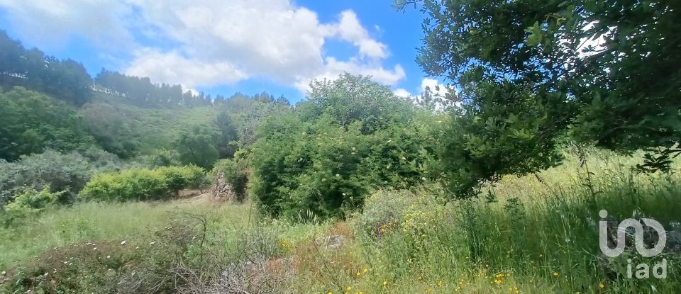 Terreno para construção em Pedrógão Grande de 2 400 m²