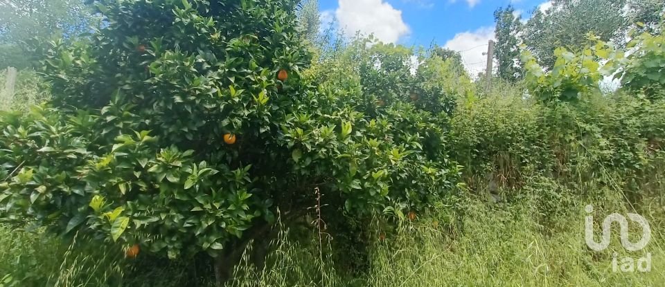 Terreno para construção em Pedrógão Grande de 2 400 m²