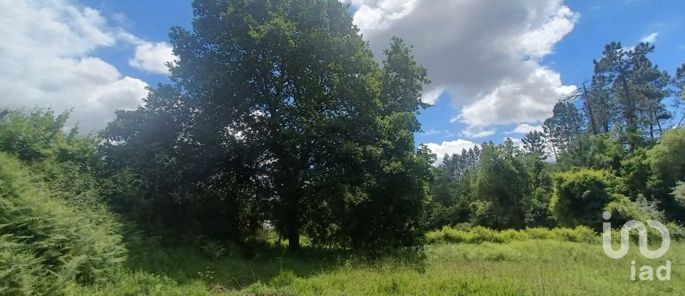 Terreno para construção em Pedrógão Grande de 2 400 m²