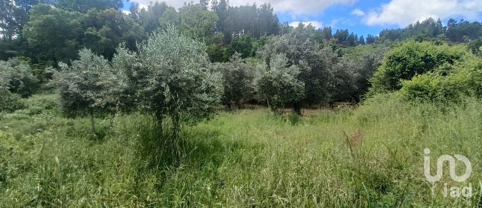 Terreno para construção em Pedrógão Grande de 2 400 m²