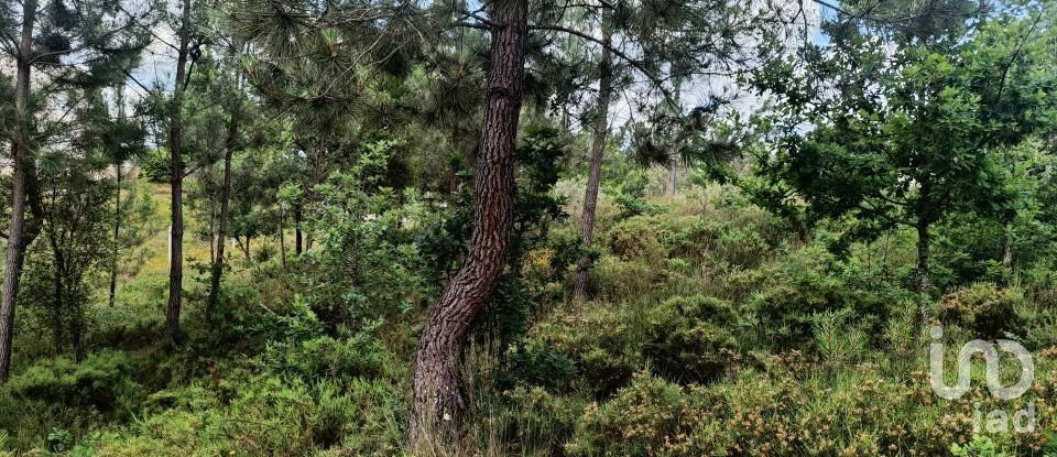 Terreno para construção em Pedrógão Grande de 2 479 m²