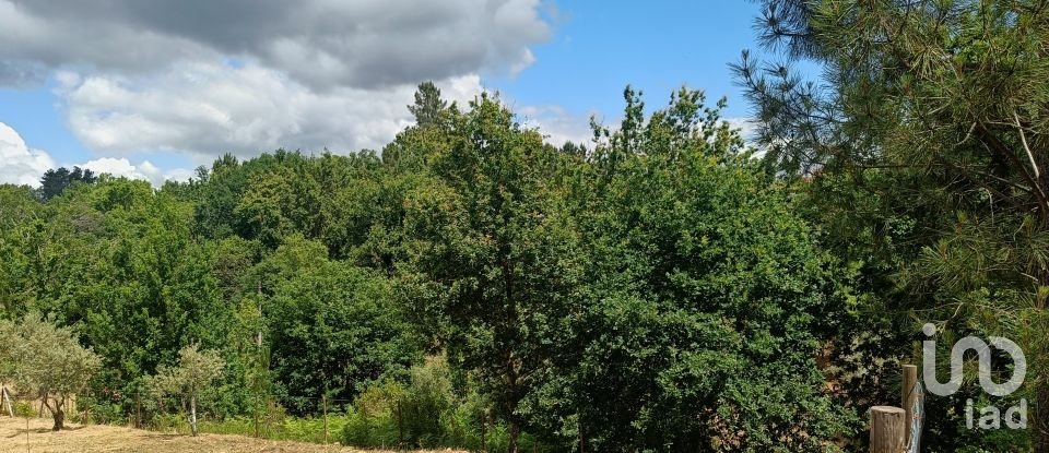 Terreno para construção em Pedrógão Grande de 2 479 m²