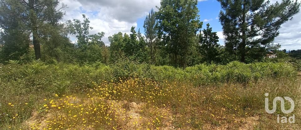 Terreno para construção em Pedrógão Grande de 2 479 m²