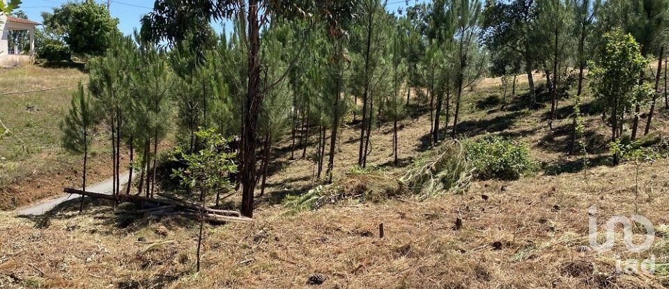 Terreno para construção em Pedrógão Grande de 2 479 m²