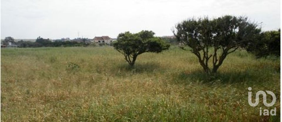 Terreno em Alcochete de 8 160 m²