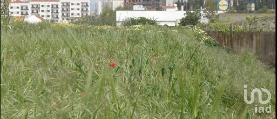 Land in Alcochete of 8,160 m²