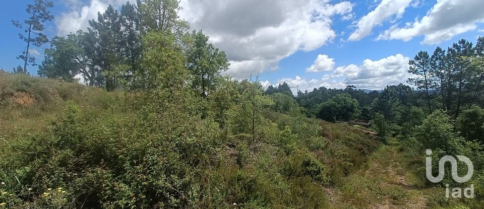 Terreno para construção em Pedrógão Grande de 1 917 m²