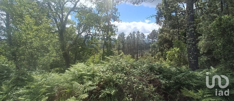 Terreno para construção em Pedrógão Grande de 1 917 m²