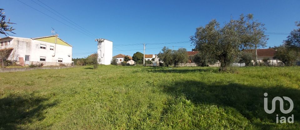 Casa T3 em Rio Maior de 110 m²