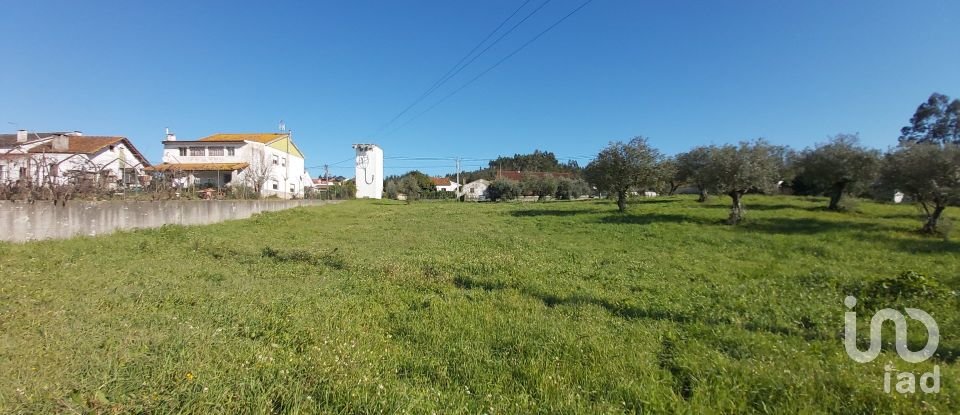 Casa T3 em Rio Maior de 110 m²