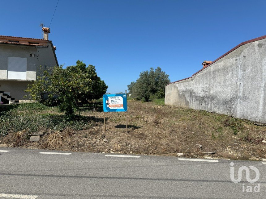 Terreno em Avelãs de Cima de 1 918 m²