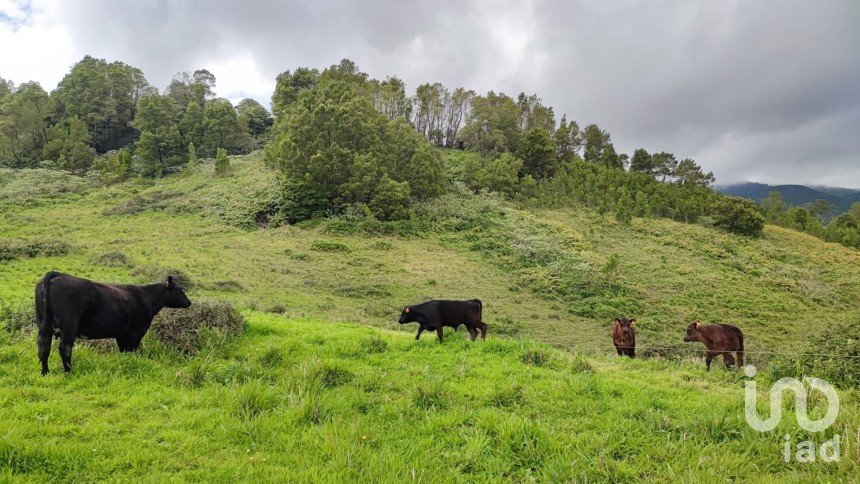 Terreno em Povoação de 142 408 m²