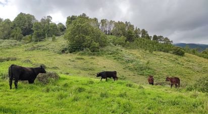 Terreno em Povoação de 142 408 m²