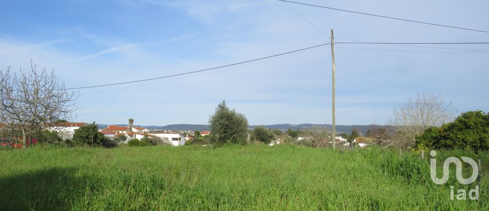Terrain à Tomar (São João Baptista) e Santa Maria dos Olivais de 1 960 m²