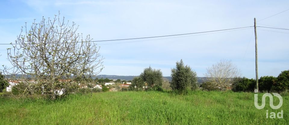 Land in Tomar (São João Baptista) e Santa Maria dos Olivais of 1,960 m²