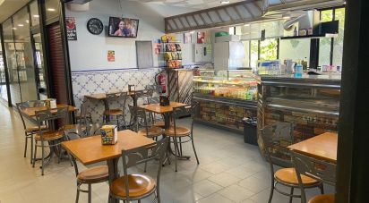 Brasserie-type bar in Pinhal Novo of 23 m²