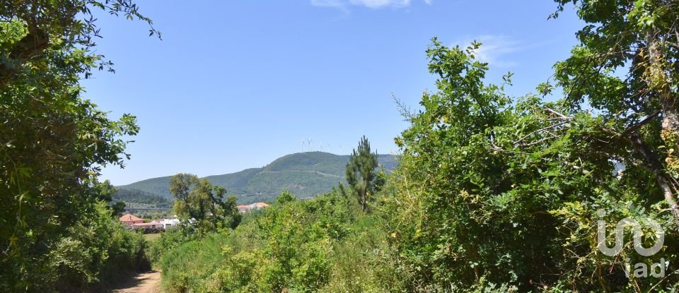 Agricultural land in Espinhal of 10,000 m²