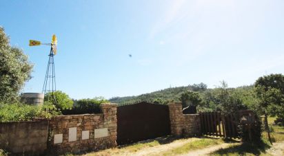 Terreno em Casais e Alviobeira de 15 280 m²