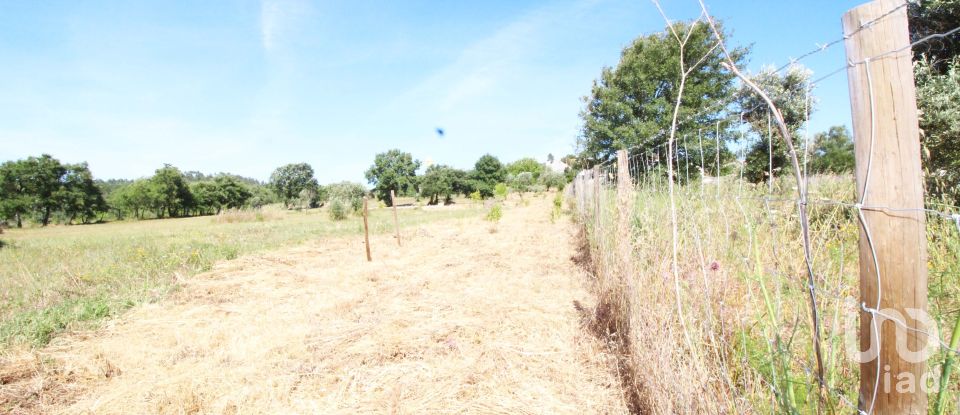 Terreno em Casais e Alviobeira de 15 280 m²