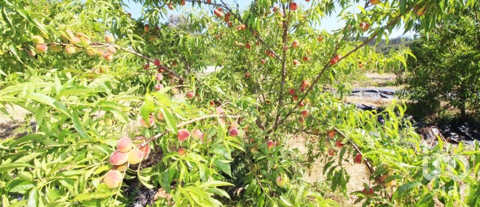 Terreno em Casais e Alviobeira de 15 280 m²