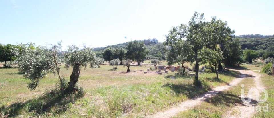 Terreno em Casais e Alviobeira de 15 280 m²