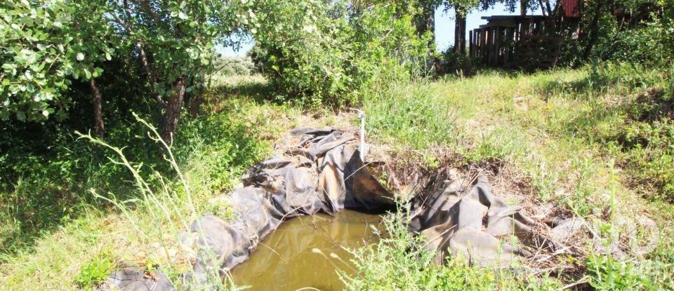 Terreno em Casais e Alviobeira de 15 280 m²