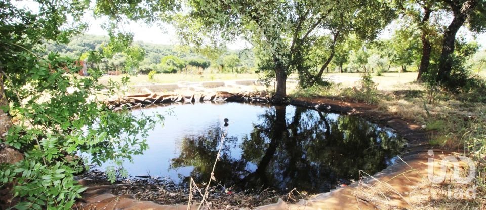 Terreno em Casais e Alviobeira de 15 280 m²