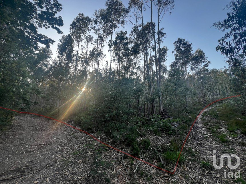 Terreno em Travassô e Óis da Ribeira de 4 950 m²