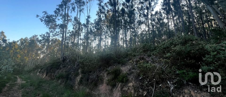 Terreno em Travassô e Óis da Ribeira de 4 950 m²