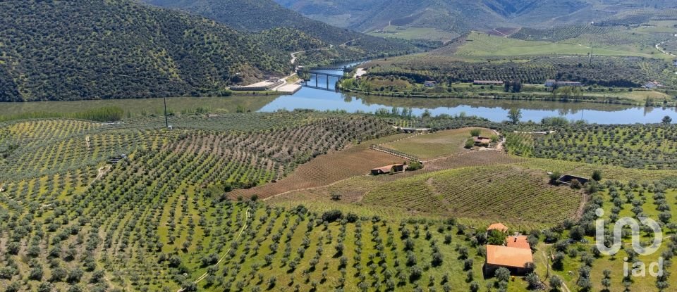 Ferme T3 à Ligares de 160 m²