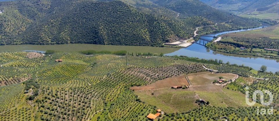 Ferme T3 à Ligares de 160 m²