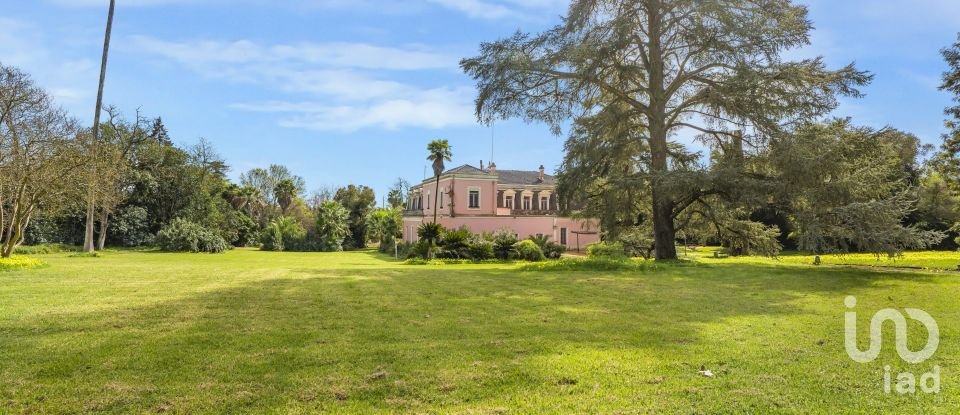 Quinta T10 em Assunção, Ajuda, Salvador e Santo Ildefonso de 1 915 m²