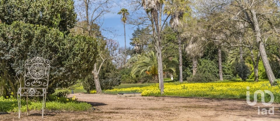 Quinta T10 em Assunção, Ajuda, Salvador e Santo Ildefonso de 1 915 m²