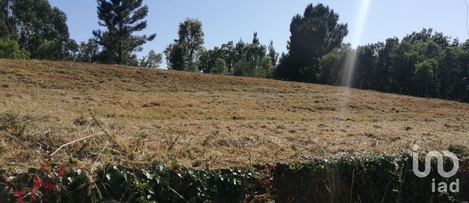 Terreno em Pedrógão Grande de 5 715 m²