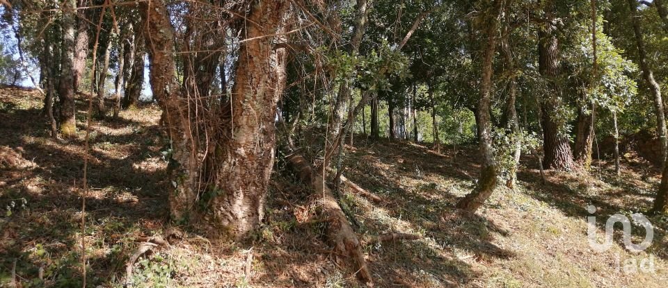 Terreno em Pedrógão Grande de 5 715 m²