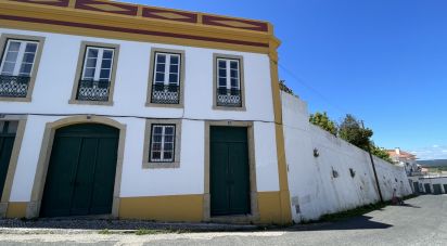 Manor T5 in Abrantes (São Vicente e São João) e Alferrarede of 556 m²