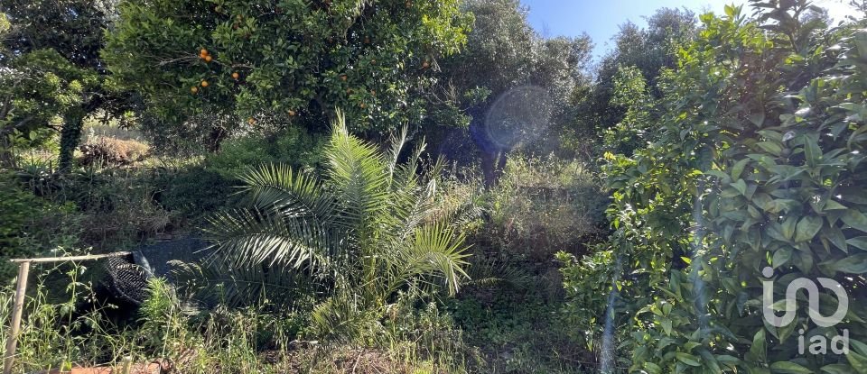 Solar T5 em Abrantes (São Vicente e São João) e Alferrarede de 556 m²