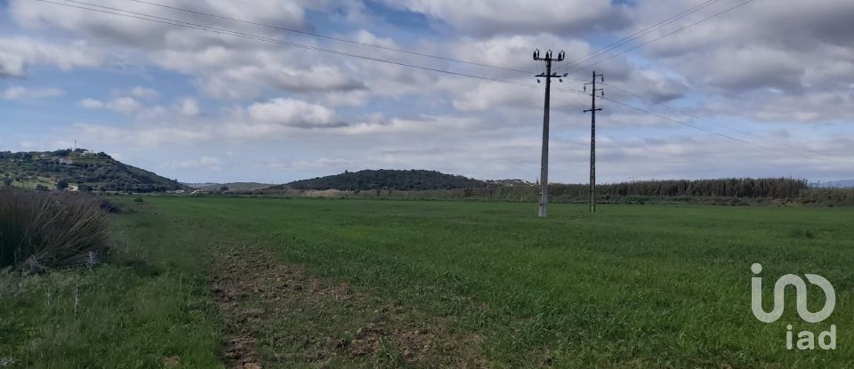 Terreno em São Gonçalo De Lagos de 409 450 m²